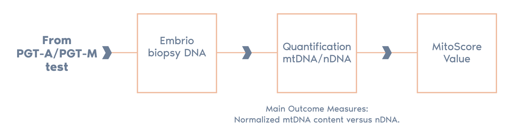 Igenomix MitoScore 粒線體指數:粒線體DNA含量指標，MitoScore是Igenomix研發的粒線體生物標記(mitochondrial biomarker)，讓我們能夠有一個胚胎活力狀態的指標。 MitoScore讓我們能夠選擇著床成功率最高的胚胎，因此較有可能透過IVF / PGT-A得到可能的妊娠結果。* *(Diez-Juan et al. 2015) 臨床轉譯的研究是整合mtDNA拷貝數（MitoScore）與PGT-A常規的遺傳分析