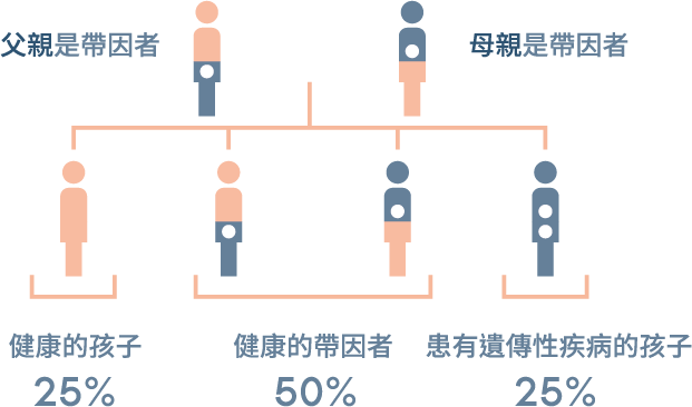 我們都是某些突變基因的載體。 雖然帶因者是健康的，但如果父母雙方都有相同體染色體的基因突變，那麼孩子帶有遺傳性疾病的機率將為25%。